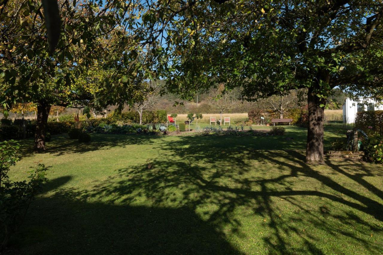 מרציג Gaestehaus Heintz מראה חיצוני תמונה