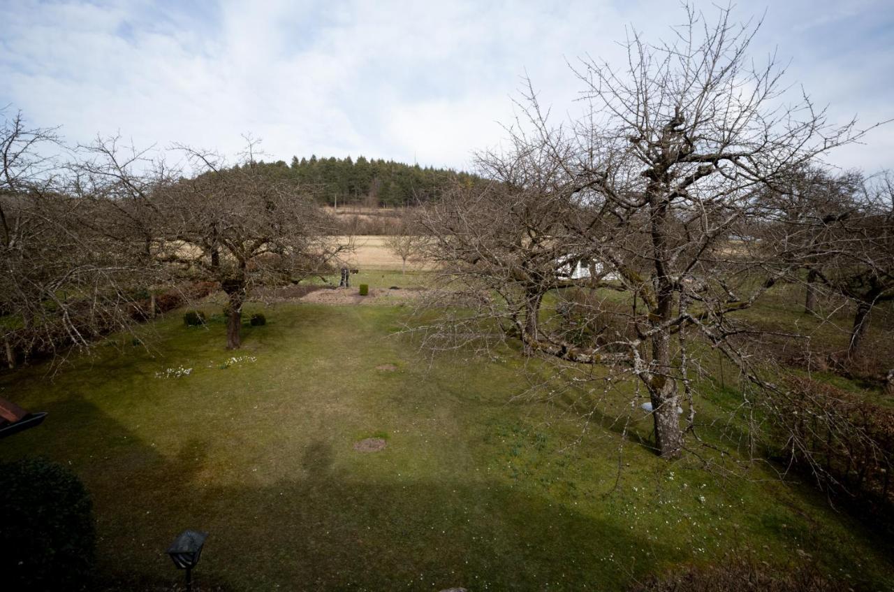 מרציג Gaestehaus Heintz מראה חיצוני תמונה