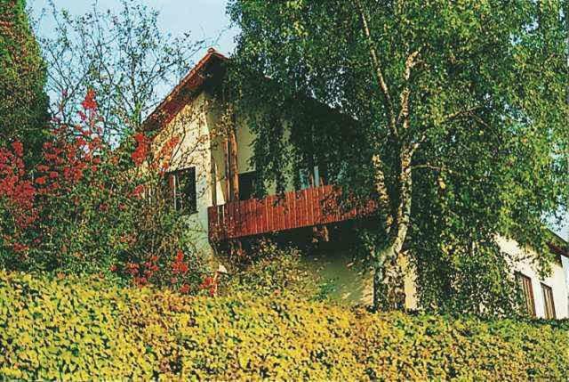 מרציג Gaestehaus Heintz מראה חיצוני תמונה